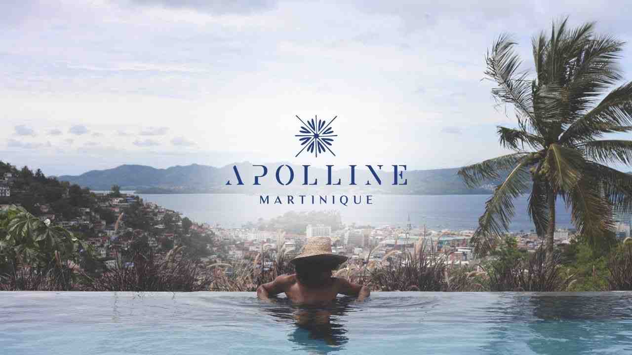 Guide d'information sur le prénom Apolline